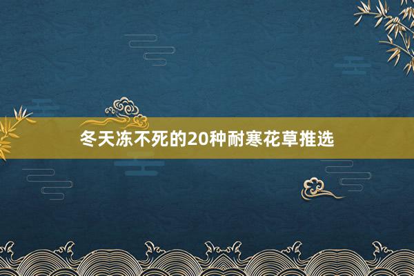 冬天冻不死的20种耐寒花草推选
