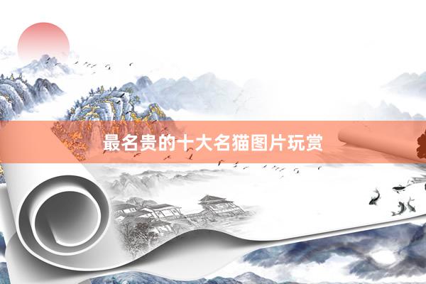 最名贵的十大名猫图片玩赏
