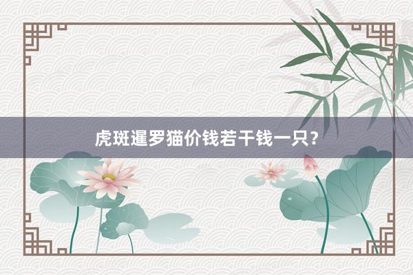 虎斑暹罗猫价钱若干钱一只？