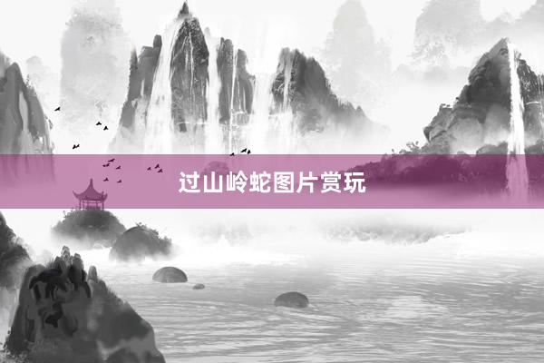 过山岭蛇图片赏玩